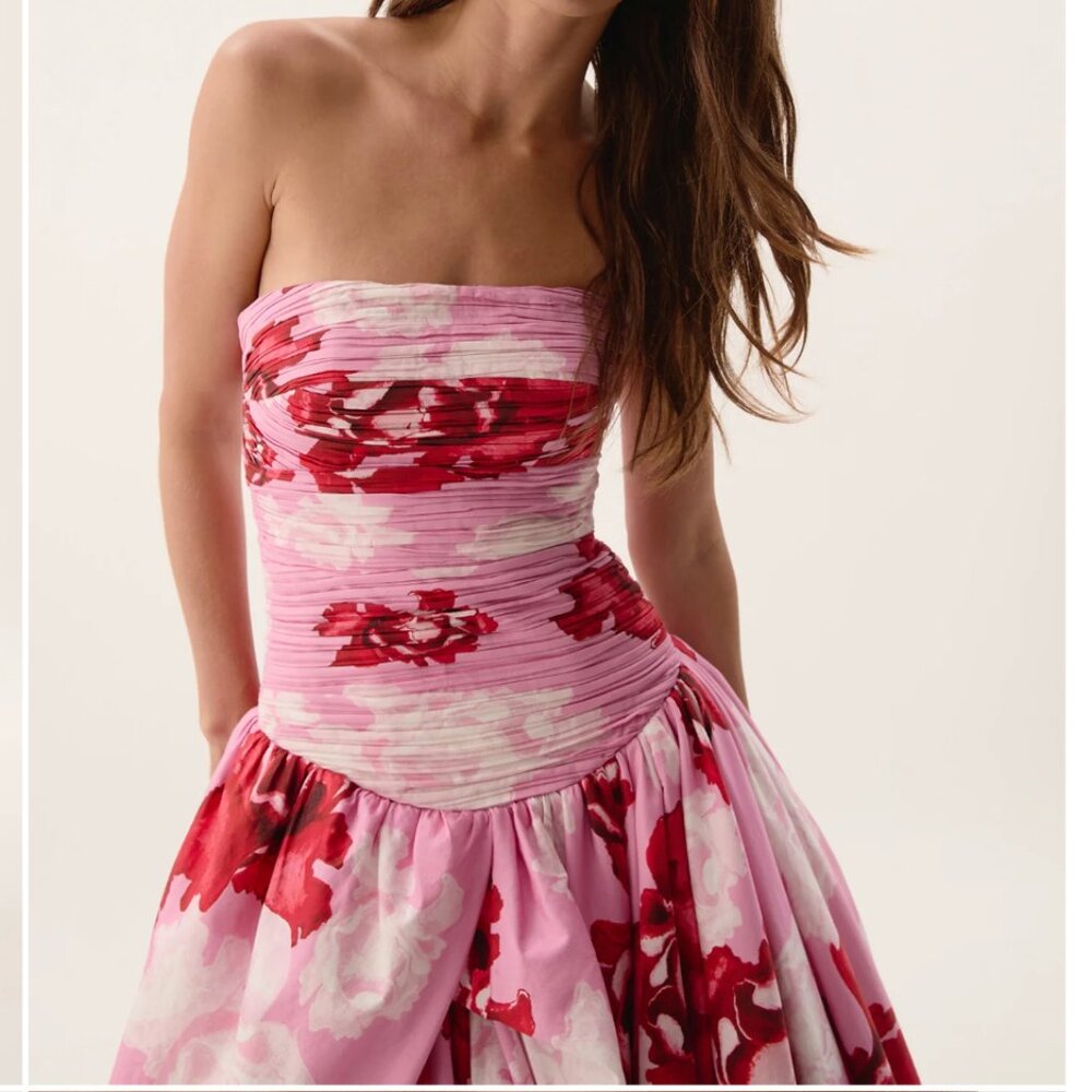 AJE Behold Maxi Dress NWT - Picture 5 of 7
